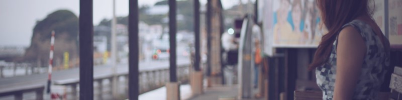 �yCESHRELL �Z�V�������z��p�N���[�����T�v�������g���T�C�g